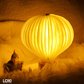 Loxi Design™ Air Balloon Lamp